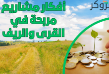 أفكار مشاريع مربحة في القرى والريف