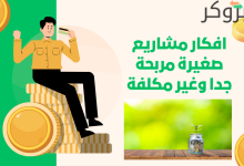 افكار مشاريع صغيرة مربحة جدا وغير مكلفة